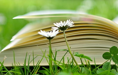 菏澤成考 成人高考高升本