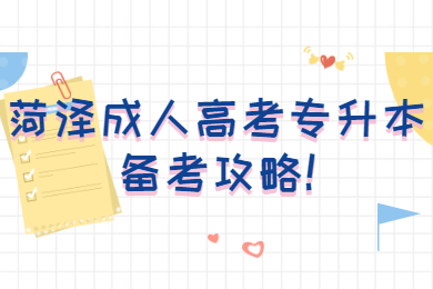 菏澤成考 菏澤成考學習方法