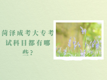 菏澤成考大專考試科目都有哪些?