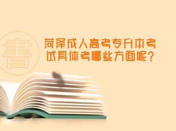 菏澤成人高考專升本考試具體考哪些方面呢?