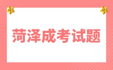 2024年菏澤成人高考專升本《英語》復習試題及答案(1)